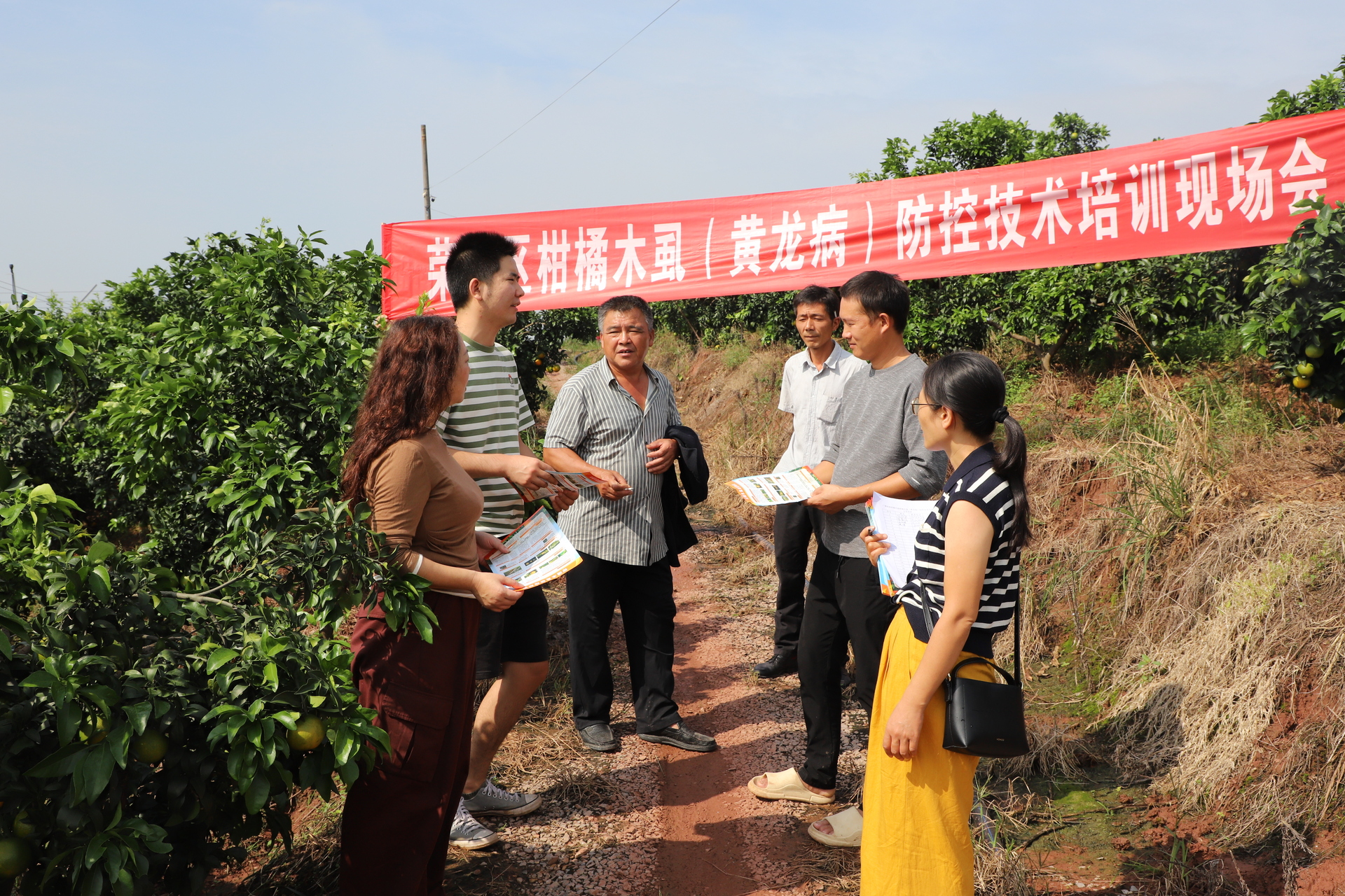 广顺街道 “田间课堂”开讲