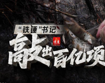 “铁锤”书记敲出百亿项目