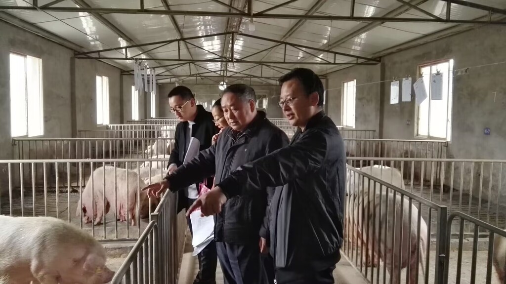 【统战之窗】“保好种”更要“养好猪” 让乡亲过上好日子——记九三学社荣昌区支社社员蒋庆