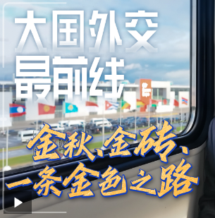 大国外交最前线丨金秋、金砖，一条金色之路