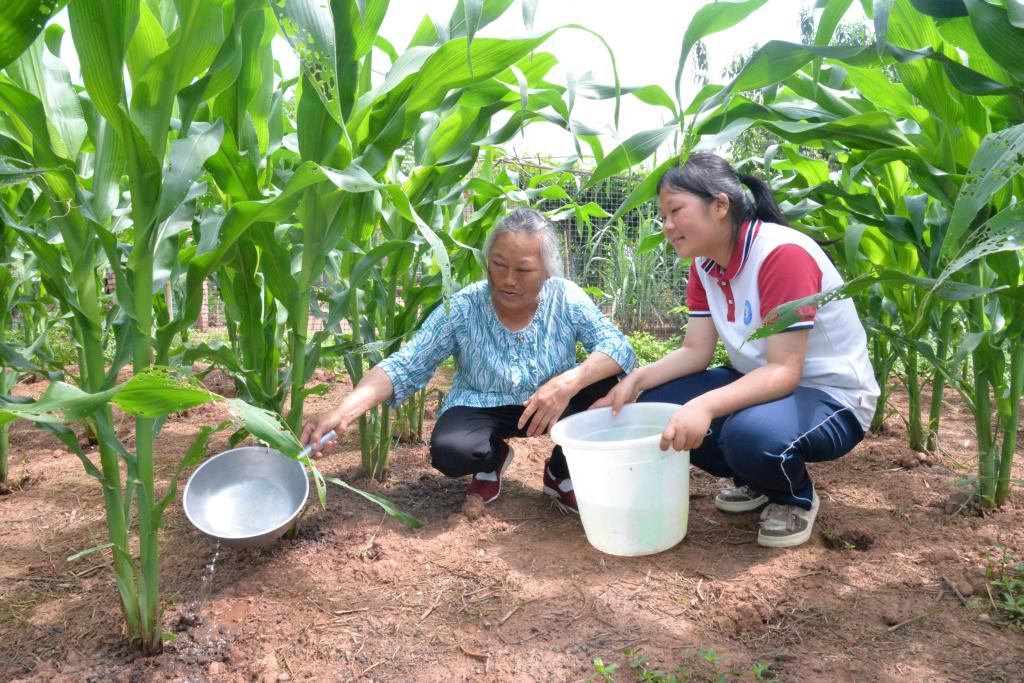 婆孙俩一起干农活