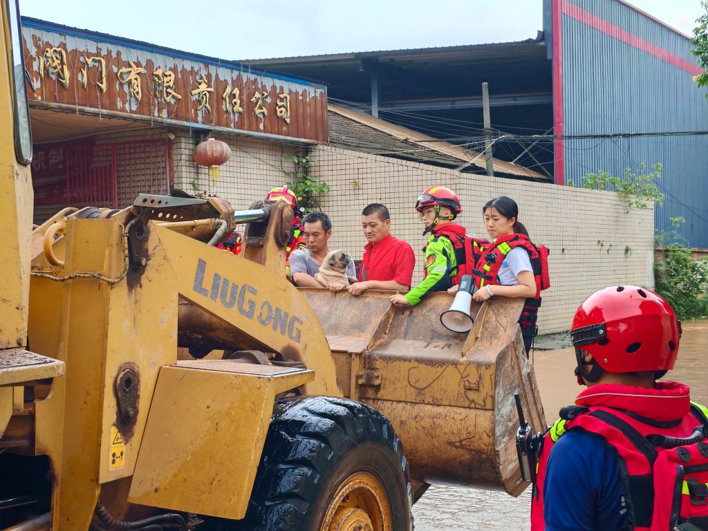 风雨同心 全力以赴 ——荣昌防汛救灾一线见闻