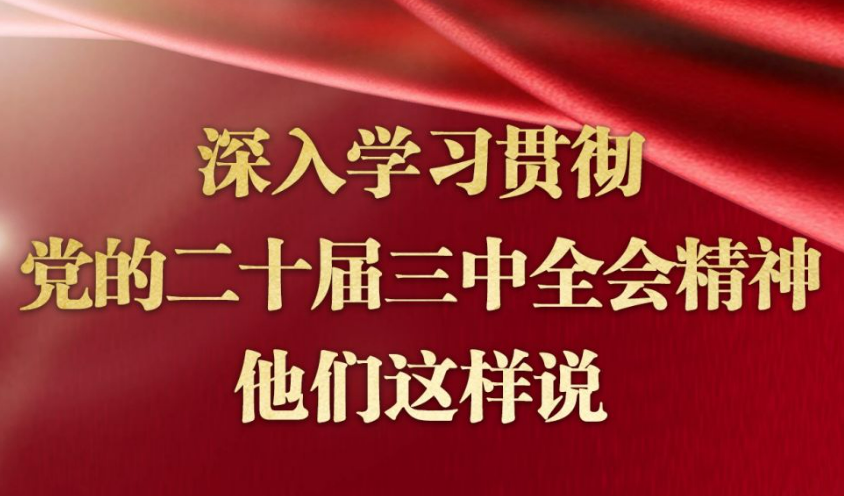 深入學習貫徹黨的二十屆三中全會精神，他們這樣說