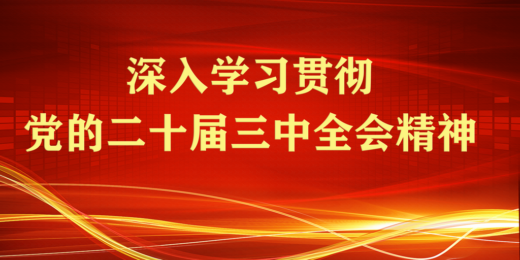 深入學(xué)習(xí)貫徹黨的二十屆三中全會(huì)精神