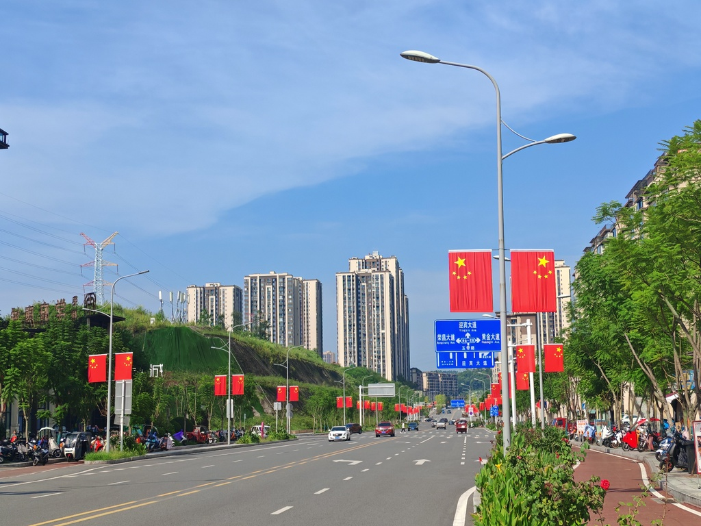 国旗红 鲜花艳