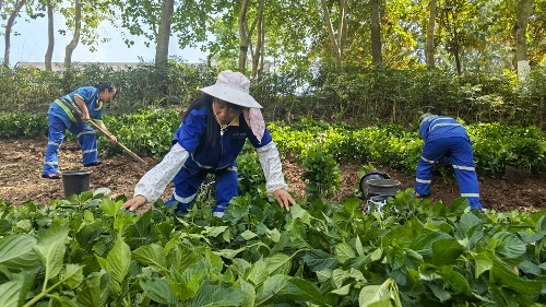 Cropped by 华龙芯 2025-04-25 10:15:36