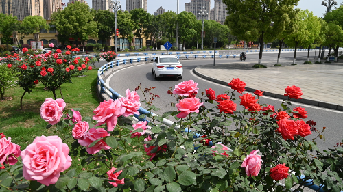 Cropped by 华龙芯 2025-04-25 10:13:44