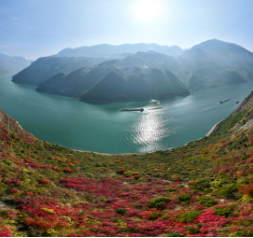 重庆巫山：三峡红叶美