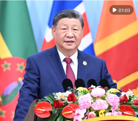 近镜头|全球妇女命运与共