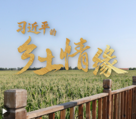 习近平的乡土情缘