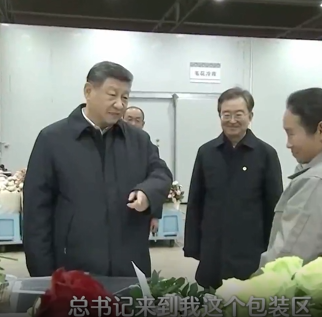 时习之｜这份“美丽产业”为乡村振兴锦上添“花”