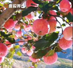 壹视界·任仲平之一｜党的作风关系人心向背