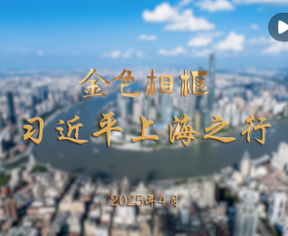 金色相框丨习近平上海之行