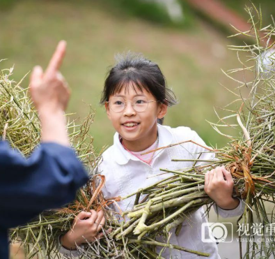 重庆瞭望｜今天，为何还要强调劳动教育？