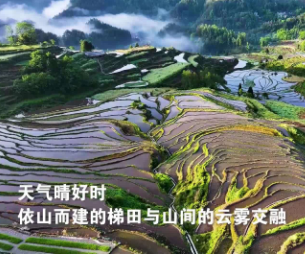 重庆：“云上梯田”蓄水待插秧