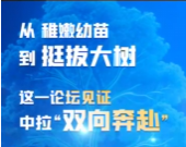 联播观察｜从稚嫩幼苗到挺拔大树，这一论坛见证中拉“双向奔赴”