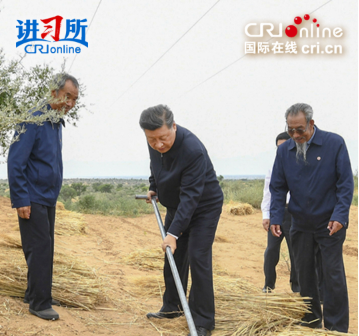 【讲习所·追光的你】习近平用“四个最”诠释劳动观