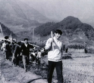 从50年前的这篇报道，感悟总书记的劳动本色