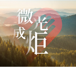 追光的你｜微光成炬