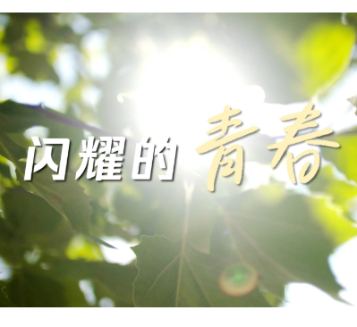 闪耀的青春