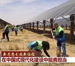 【新思想引领新征程】在中国式现代化建设中挺膺担当