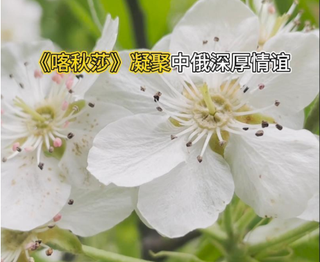 《喀秋莎》凝聚中俄深厚情谊