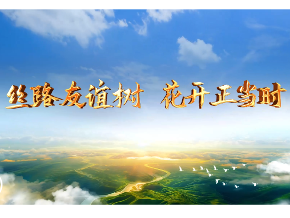 大道之行丨丝路友谊树 花开正当时
