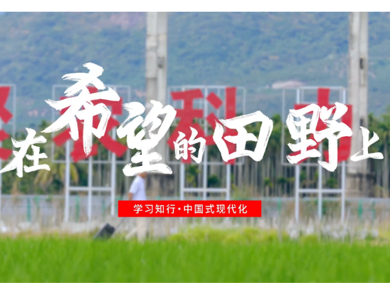 学习知行·中国式现代化丨在希望的田野上