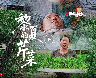 一根手指和一根脚趾种出上万斤芹菜！“黎夏的芹菜”上市了，每一份努力都不会被辜负！