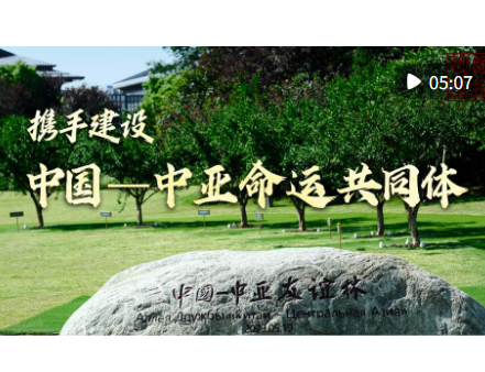 视频画报｜携手建设中国－中亚命运共同体
