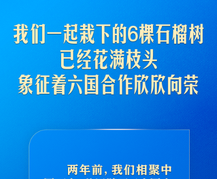弘扬“中国－中亚精神”，习近平指明中国中亚合作方向