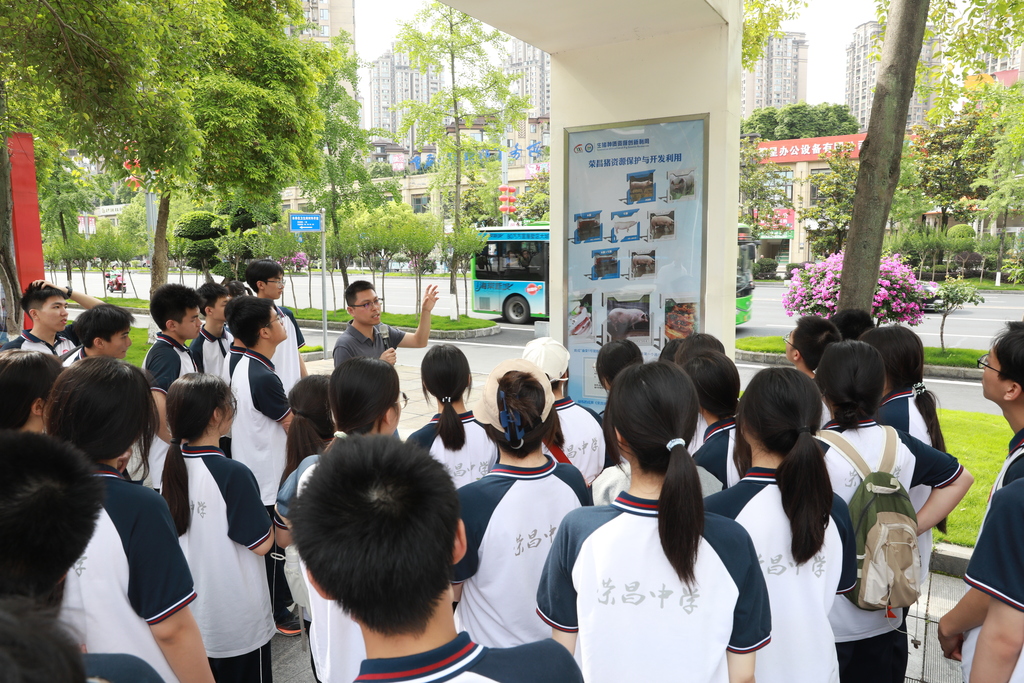 中学生近距离感受畜牧科技