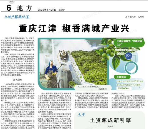 重庆江津 椒香满城产业兴
