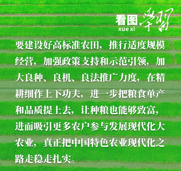 看图学习丨“三夏”时节丰收忙 总书记强调粮食生产年年要抓紧