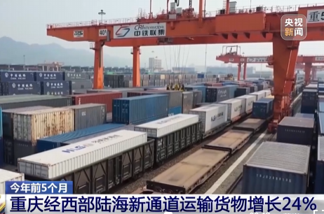 今年前5个月 重庆经西部陆海新通道运输货物增长24%