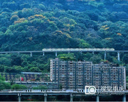 重庆瞭望｜超大城市现代化治理，重庆如何发力？