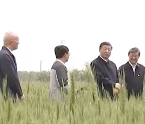 时习之丨采取“长牙齿”的硬措施保护耕地