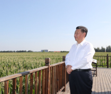 镜观·回响｜像保护大熊猫一样保护黑土地