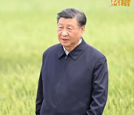 学习新语｜“耕地是粮食生产的命根子”