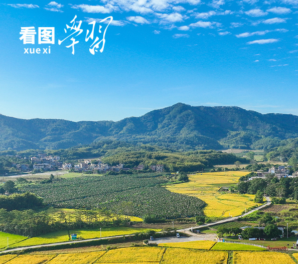 看图学习丨“守住耕地这个命根子” 总书记心系耕地保护