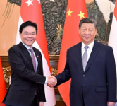 联播+｜中新合作树标杆