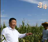 习语丨“中国人要把饭碗端在自己手里”