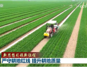 【新思想引领新征程】严守耕地红线 提升耕地质量