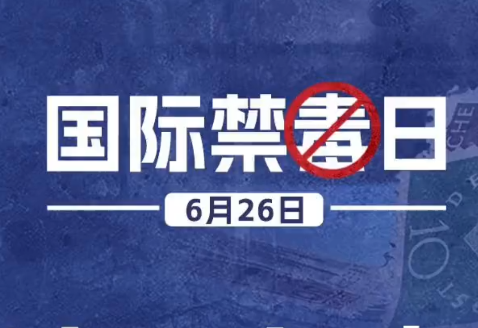 国际禁毒日 | 这条视频“有毒” 建议反复观看