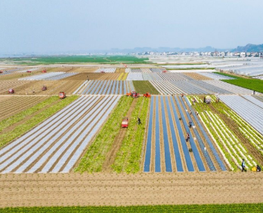 760公斤人均占有量背后：九成山地的重庆如何拎稳 “菜篮子” ？