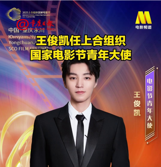 王俊凯任上合组织国家电影节青年大使