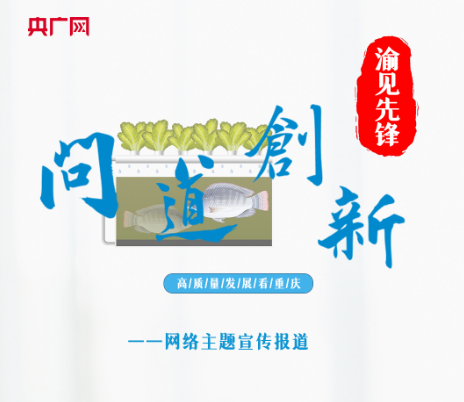 【问道创新·渝见先锋】鱼菜共生 AI工厂解锁智慧农业的绿色魔法