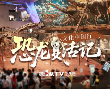 文化中国行丨恐龙“复活”记