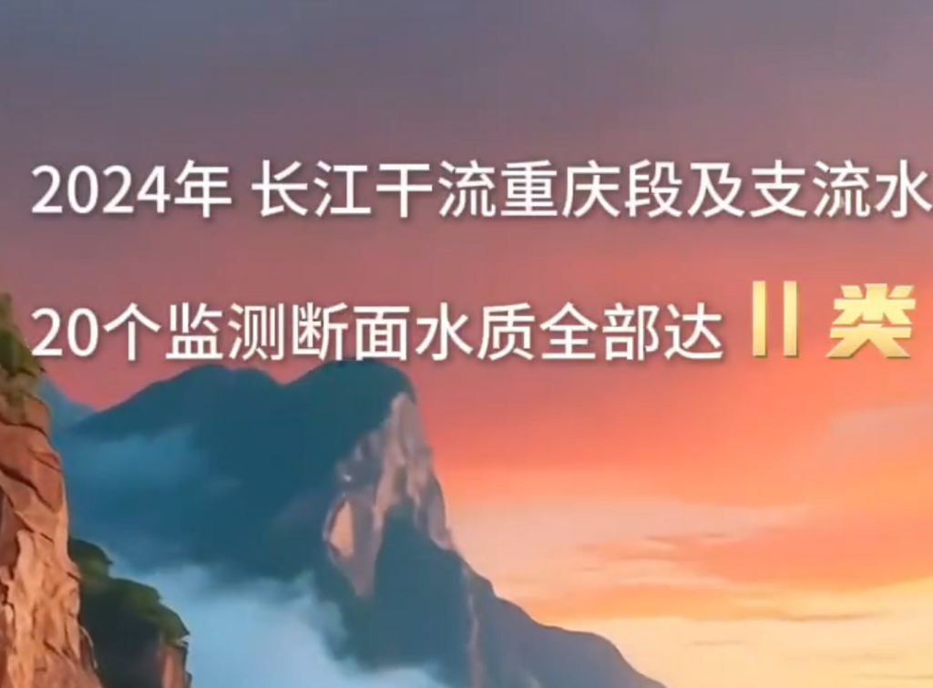 六五环境日丨漂流瓶奇遇记——来重庆 看见美丽中国