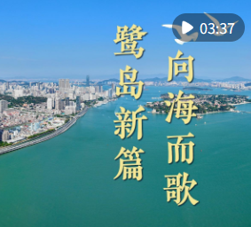 微视频｜鹭岛新篇 向海而歌